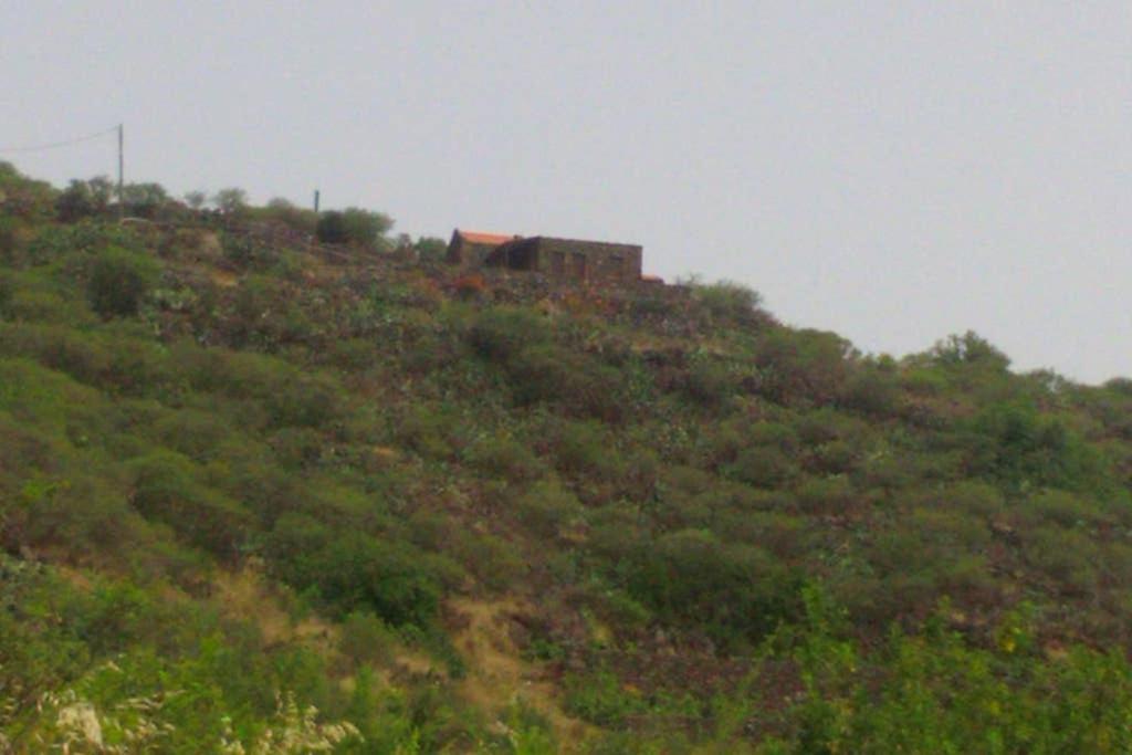 Casa Rural La Casa De La Lima Las Rosas  Kültér fotó